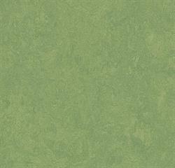 Forbo Marmoleum Fresco Linoleum 3260 Leaf